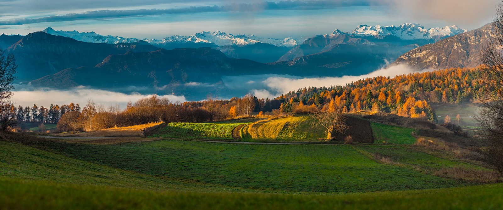 Trentino-landscape