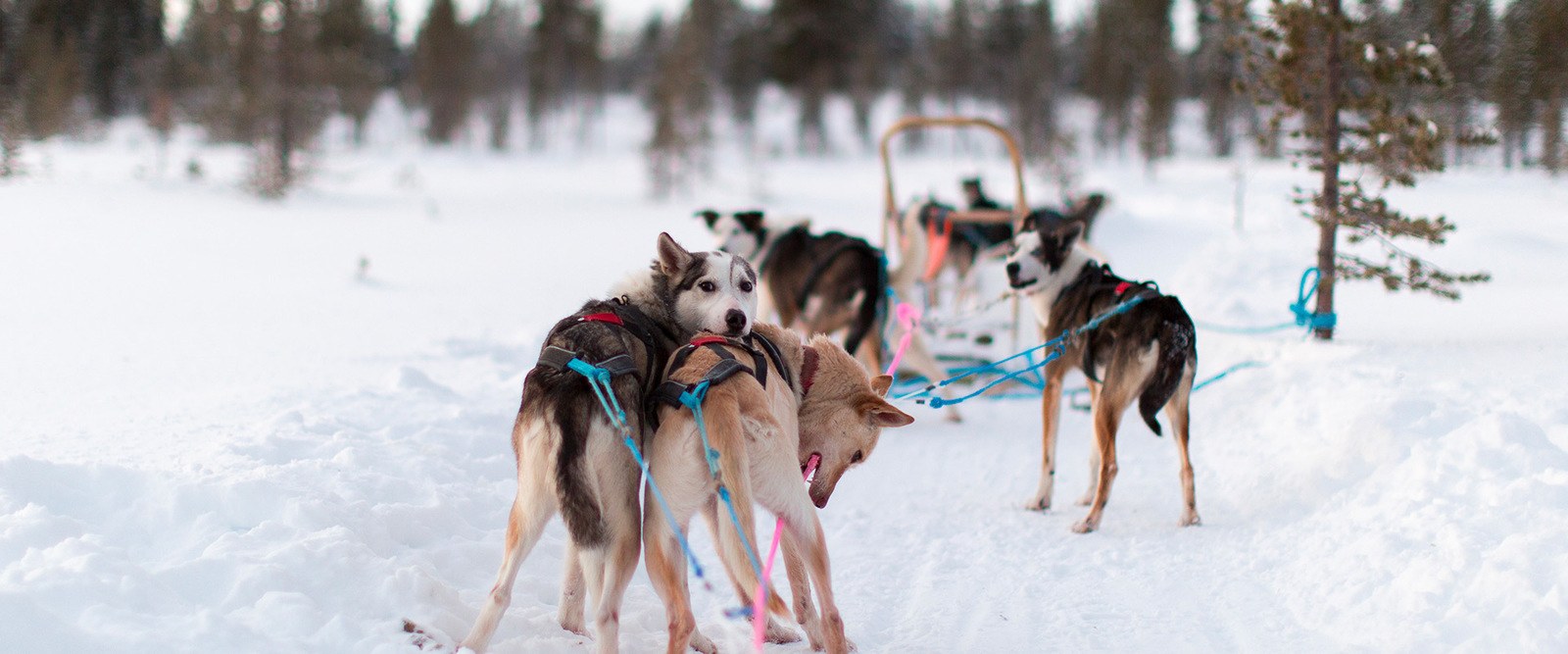 category-slider-5-winter