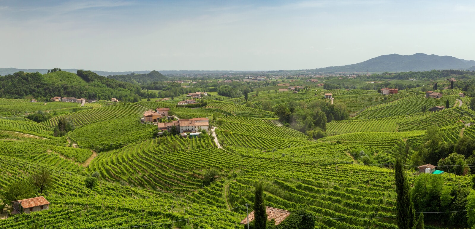 20222210302140721-colline-del-prosecco-shutterstock-1449223325 - Copia